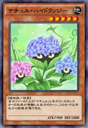 ナチュル・ハイドランジー