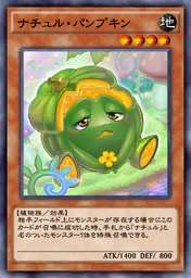 ナチュル・パンプキン