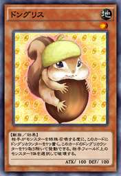 ドングリス